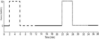 A Comparison of Muscle Sympathetic Nerve Activity to Non-contracting Muscle During Isometric Exercise in the Upper and Lower Limbs